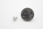 stud cone tiny silver scale