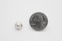 stud cone small silver scale