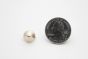 stud cone medium golden scale