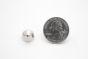 stud cone medium silver scale
