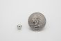 stud domes tiny silver scale
