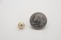 stud domes small golden scale