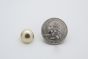 stud domes large golden scale