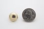 stud dome large golden scale