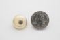 stud domes large golden scale