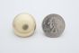 stud dome giant golden scale