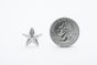 stud star small silver scale