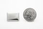 stud rectangle Gene Simmons silver scale