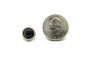 jewel studs black scale