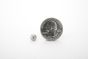 multi prong dome stud size 6 silver scale