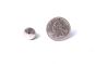 cone garment stud scale