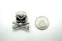 badge pirate skull and crossbones scale