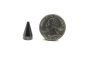 black cone spike scale