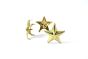 star medium golden stud hero