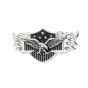 American Eagle Shield Badge pic
