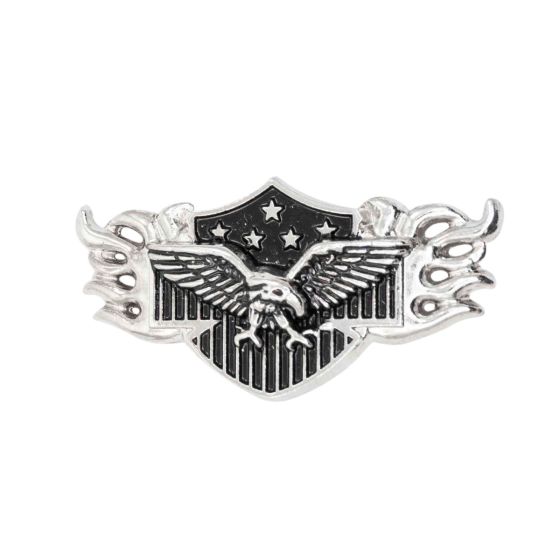 American Eagle Shield Flame pic